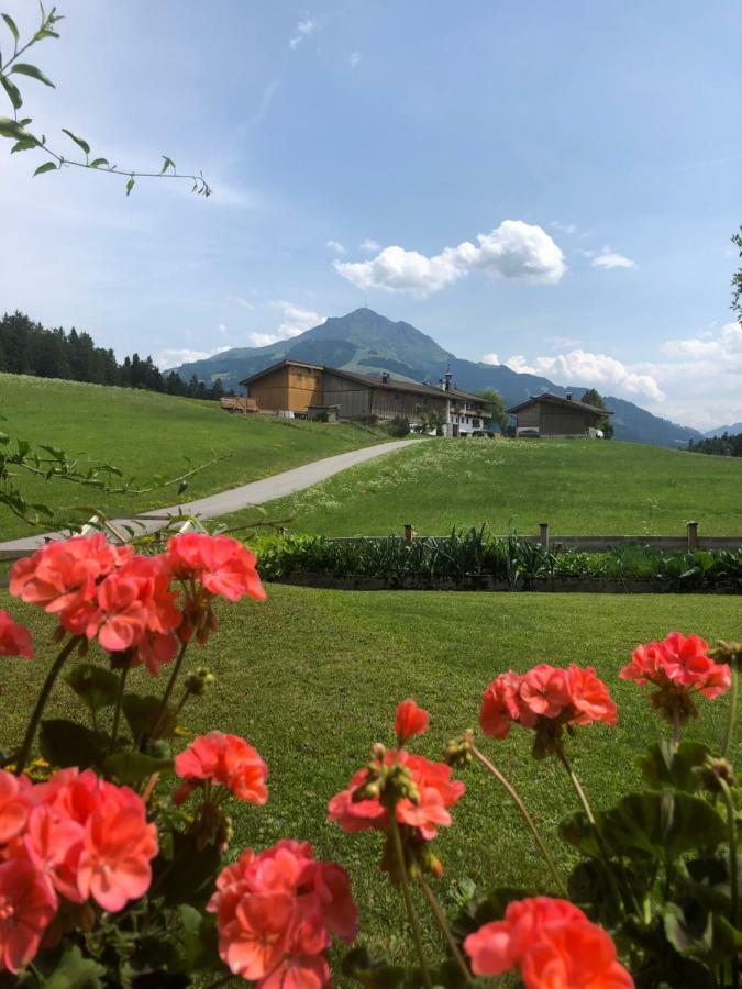 Appartement Woergoetter Evi St. Johann in Tirol Kültér fotó